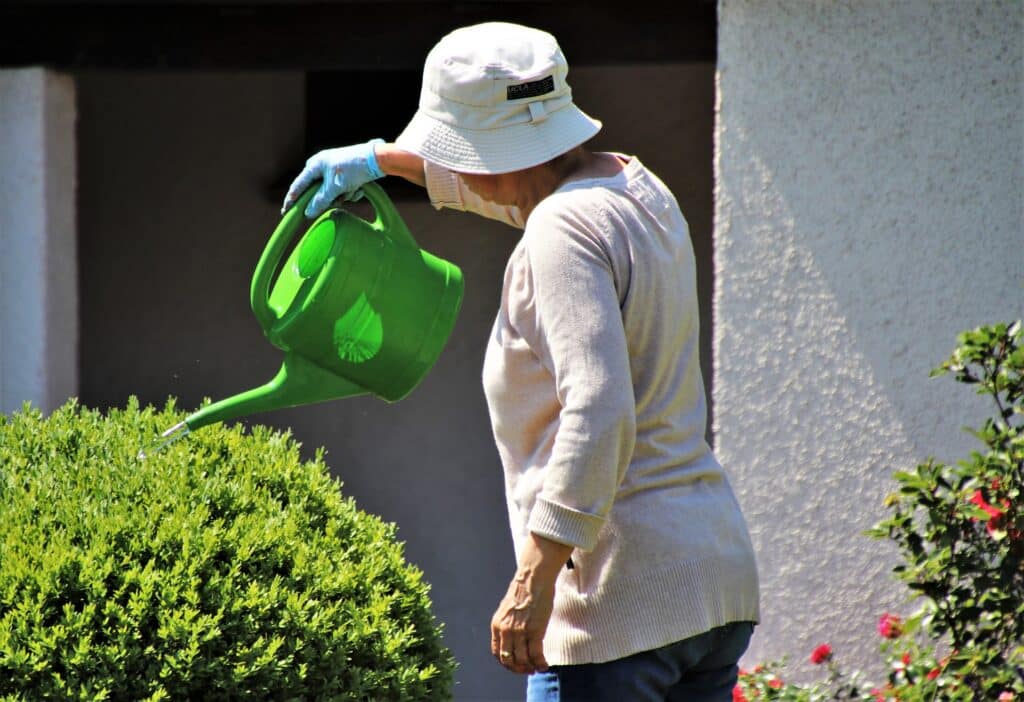 Inspiring Activities for Dementia Patients