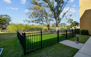 SaraBella Senior Living Back