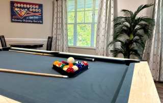 Venice Palms Senior Living Billiards