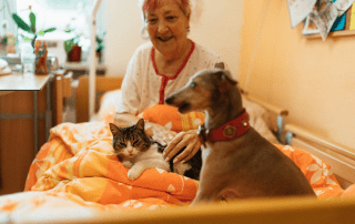 An elderly person with their pets.