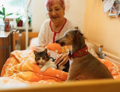 How to Choose the Right Assisted Living Community in Sarasota and Bradenton