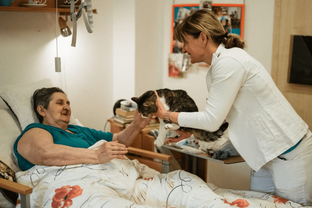 A caregiver showing a cat to an elderly person in the bed